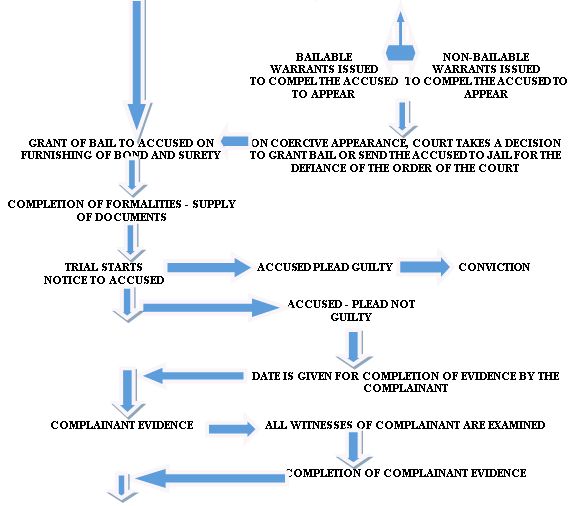 Criminal Case Flow Chart