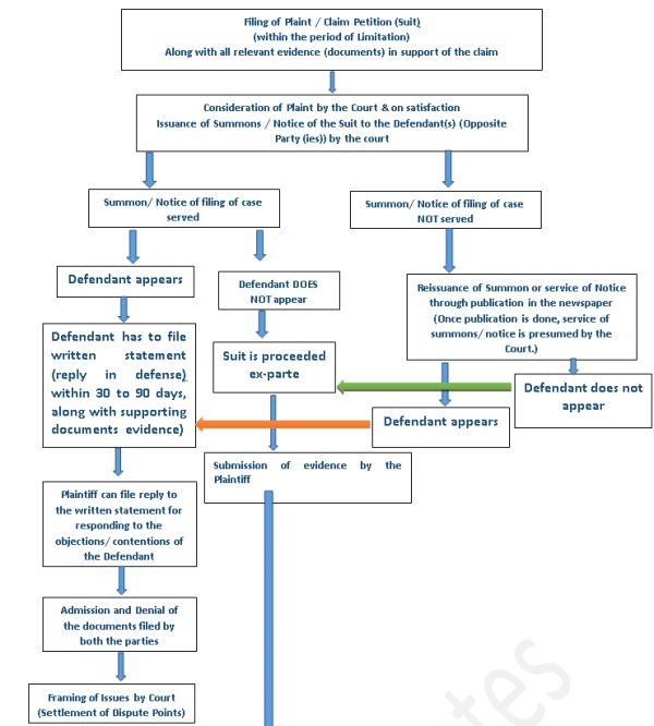 Trial Process Flow Chart