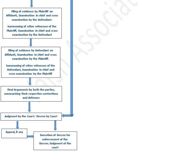 Trial Process Flow Chart