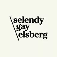 View Selendy Gay website