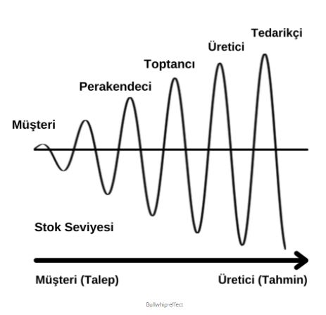 1135638a.jpg