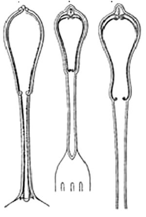 1324492a.jpg