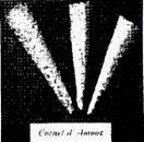 1477902a.jpg
