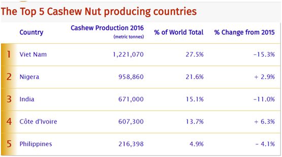 cashew nut import data