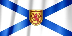 79152i.jpg