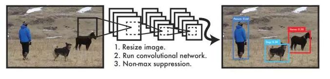 900938a.jpg