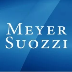 View Meyer Suozzi English & Klein website