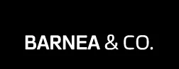Barnea & Co firm logo