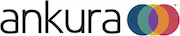 Ankura Consulting Group LLC