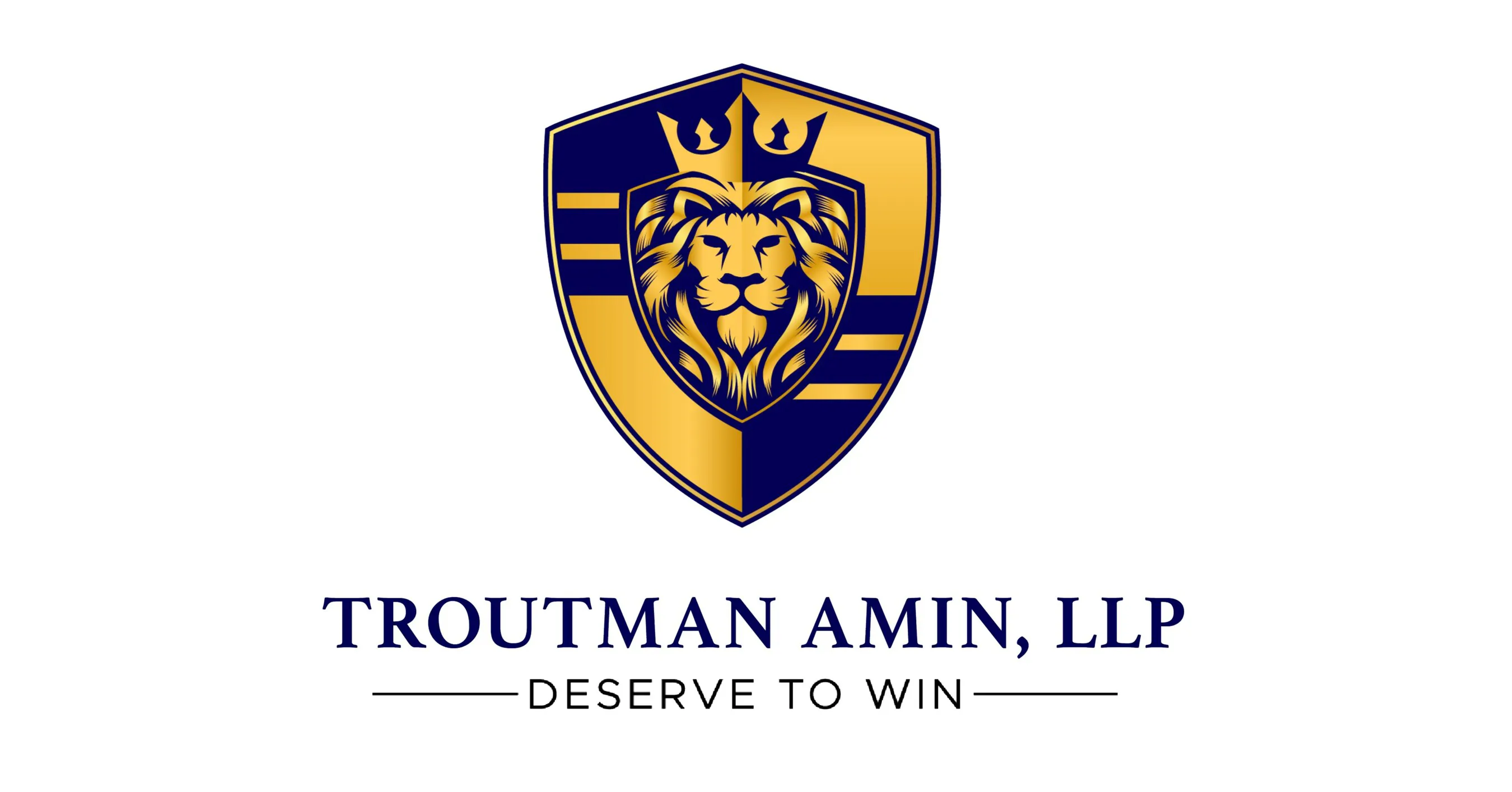 Troutman Amin LLP logo