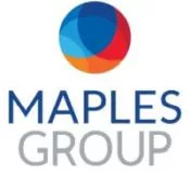 View Maples Group website