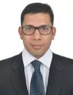 Anish Kapur Photo