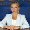 Photo of Alla  Serebrianskaia