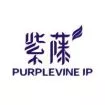 Photo of Purplevine IP