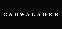 View Cadwalader, Wickersham & Taft LLP website