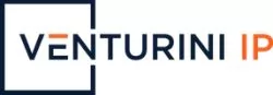 View Venturini IP website